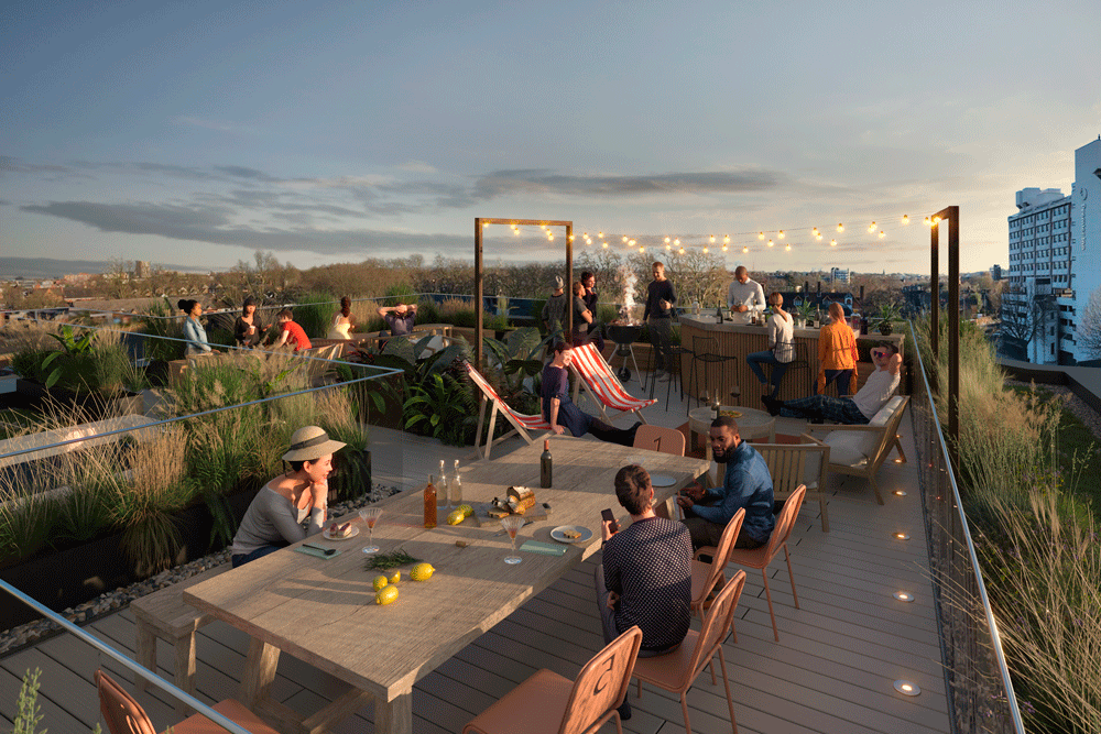 Tribu Kingston Living Coliving